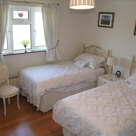 Bed and Breakfast Erw-Lon Farm Pontfaen Pokój zdjęcie